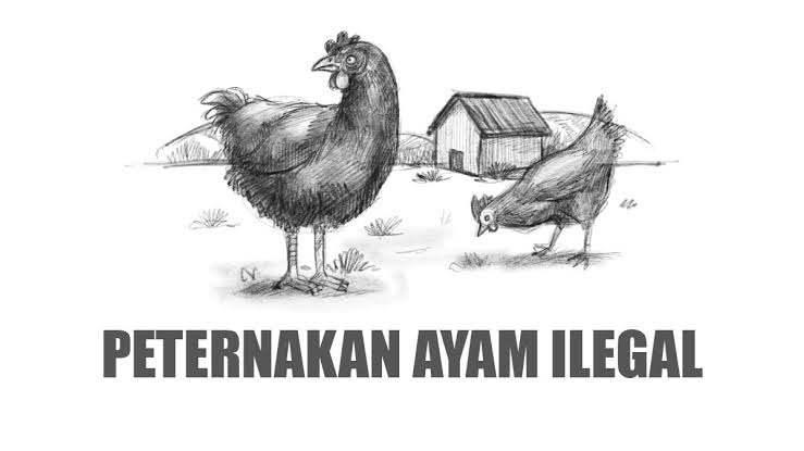 PW Kumala dan Aktivis Kalam Desak Pemkab Lebak Tutup Ternak Ayam di Cileles dan Gunungkencana