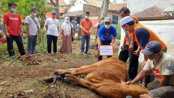 Dr Salim Tebar 1 juta Paket Kurban, DPD PKS Pandeglang Kurban 17 Ekor Sapi dan 45 Kambing
