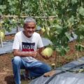 Segera Panen, Petani Binaan Kadin Sulap Lahan di Lebak Jadi Sentra Melon Premium Banten