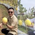Hasbi Targetkan Lebak Jadi Penopang Pangan Nasional, Panen 30 Ton Golden Melon Cileles Jadi Bukti