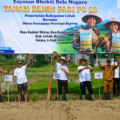 Turun ke Sawah, Bupati Hasbi Genjot Produksi Padi Lebak Demi Kedaulatan Pangan Nasional