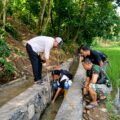 Kades Muaradua Turun Langsung Kawal Proyek P3-TGAI, Pastikan Irigasi Berkualitas untuk Dukung Ketahanan Pangan