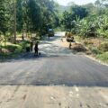 PUPR Lebak Tuntaskan Perbaikan Jalan Tanjakan Tajur di Kecamatan Cikulur, Waspada Longsor dan Retakan Tanah  ‎