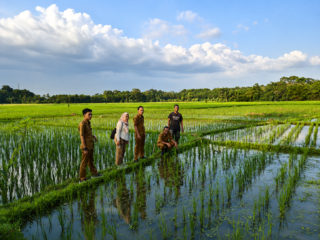 Kadis Pertanian Luruskan Data Kekeringan, 14 Hektare Sawah yang Sempat Puso Kini Produktif Lagi