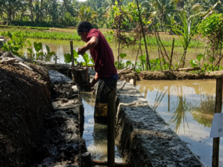 P3-TGAI DI Cinapel Tuntas, Petani Desa Kerta Kini Nikmati Irigasi Lancar, Hasil Panen Diproyeksi Meningkat