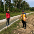 Inpres 2/2025 Berbuah Hasil, Petani Lebak Rasakan Manfaat Langsung Rehabilitasi Irigasi