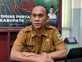 Kemarau Panjang Ancam Ketahanan Pangan, 314 Hektare Lahan Padi di Lebak Terdampak
