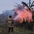 Api Sempat Membesar, Kebakaran Lahan di Belakang BTN Mandala Cibadak Berhasil Dipadamkan